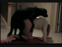 Sexy MILF got banged hard by black dog